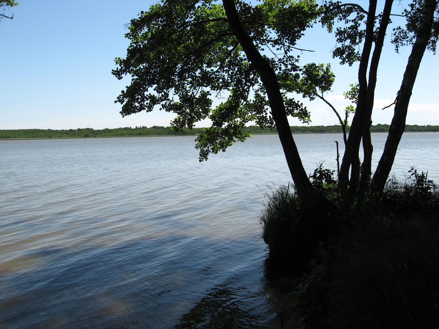 Sarbsko